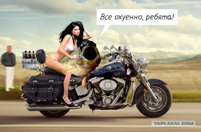 Фотожаба: "Чо?"