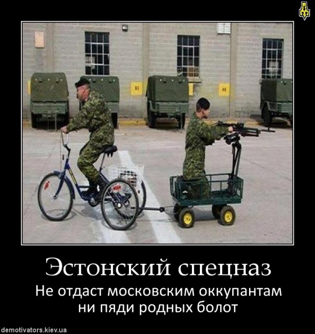 Эстонских военных обвинили в медлительности