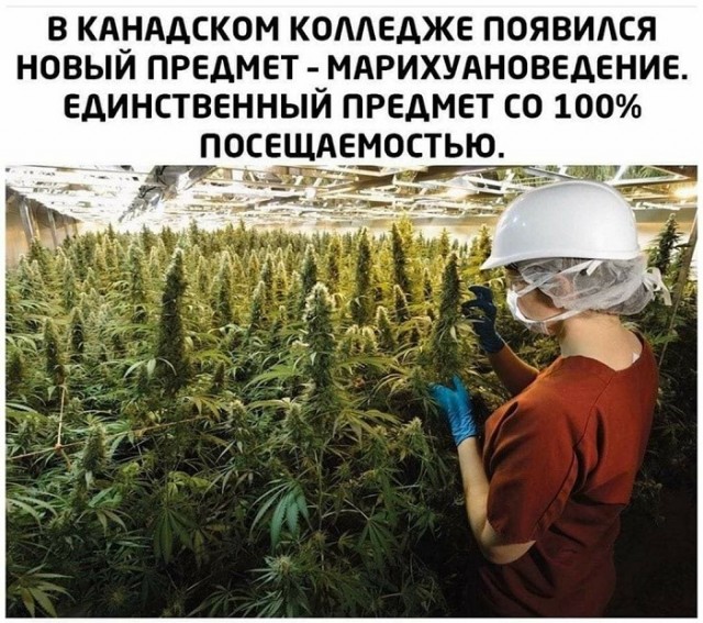 Картинки с надписями и всякие жизненные фразы 06.04.21
