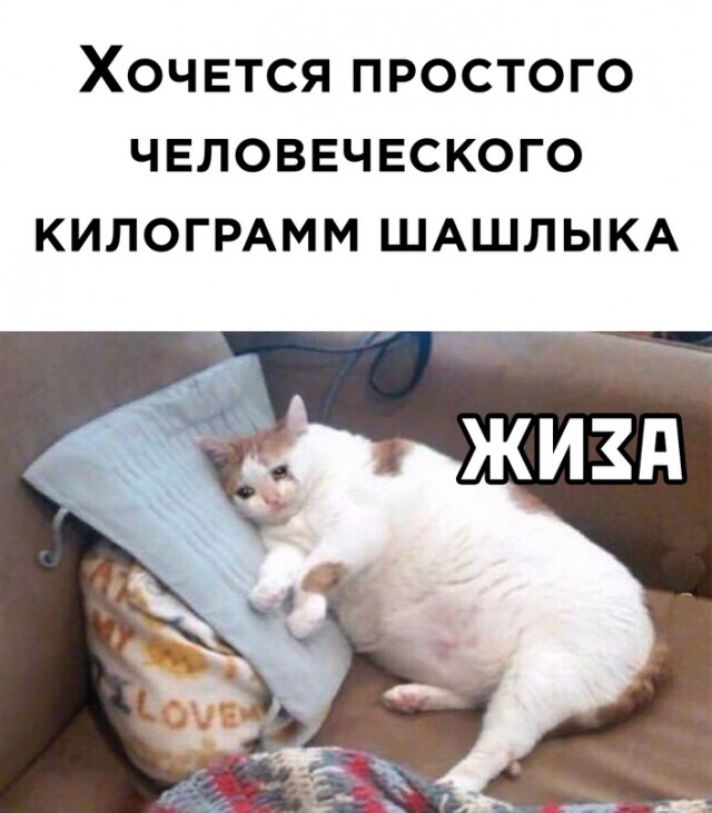 Весёлый полтишок 25.04