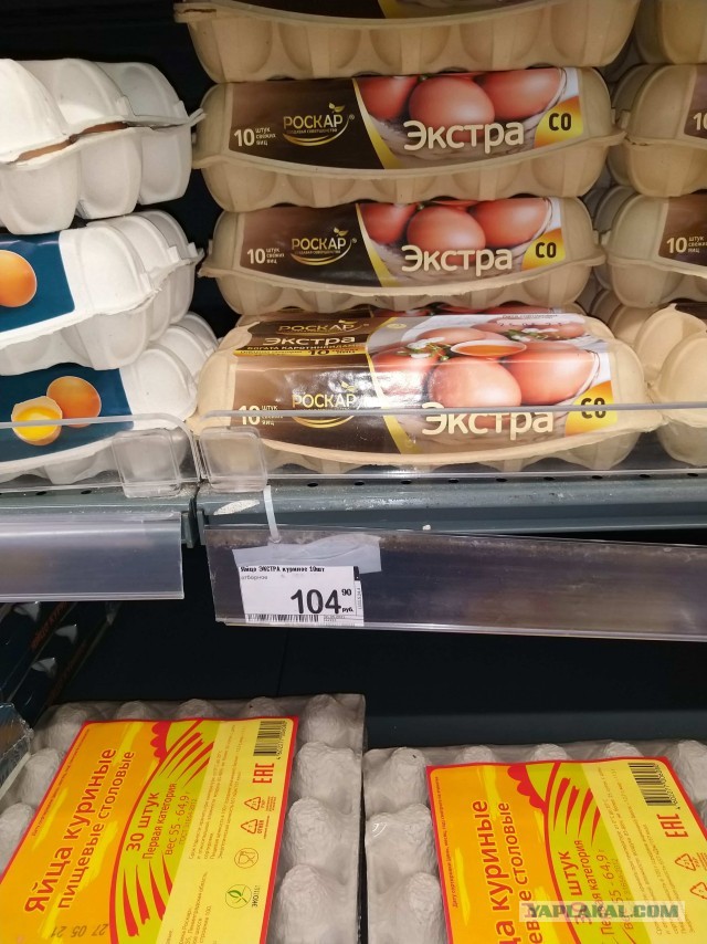 Живу в Москве