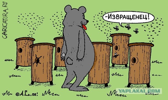 В Нижнем Новгороде проходит фестиваль BDSM