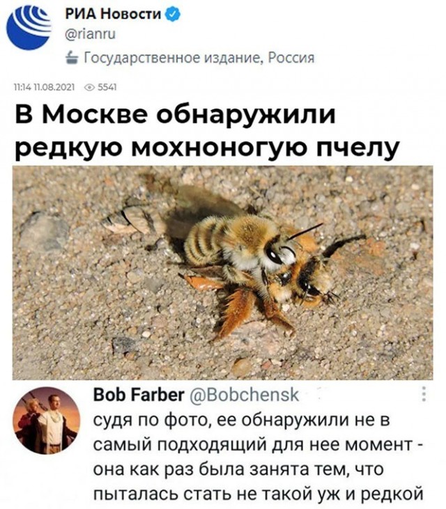 Баянисто-небаянистый юмор 15.08.21