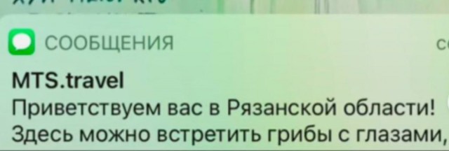 Картинки и мемы для настроения 17.08.2021
