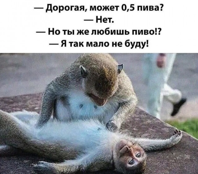 Так себе картинки 04.11.21