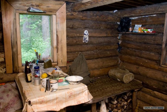 Тайга, сибирь, конец июля 2010