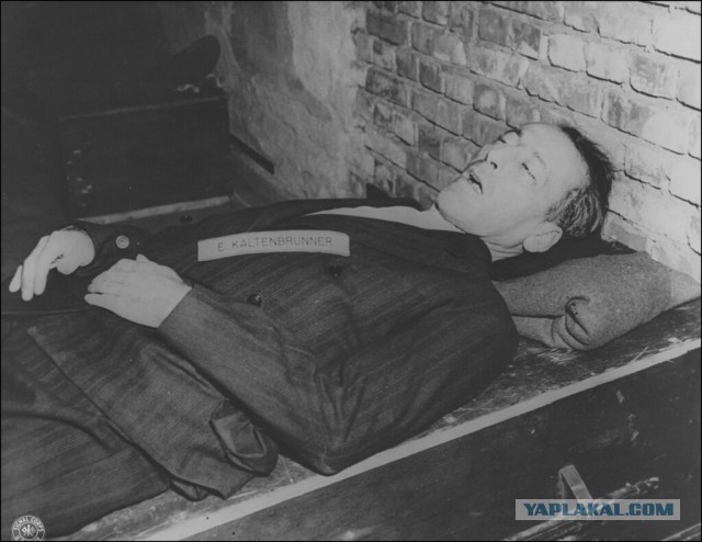 Норвежский журналист: Александра Большунова и других россиян не должно быть на Олимпиаде