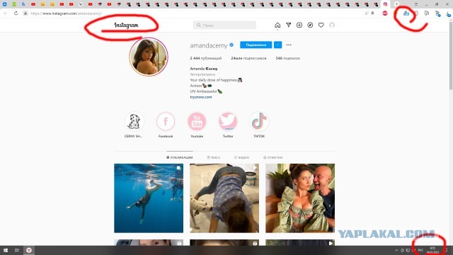 ⚡️Instagram официально заблокирован в России — Globalcheck