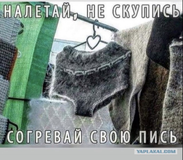 Санкции ударили по Пиз*е