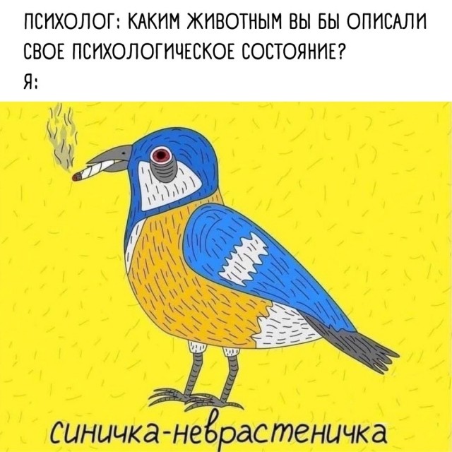 Так себе картинки 07.04.22