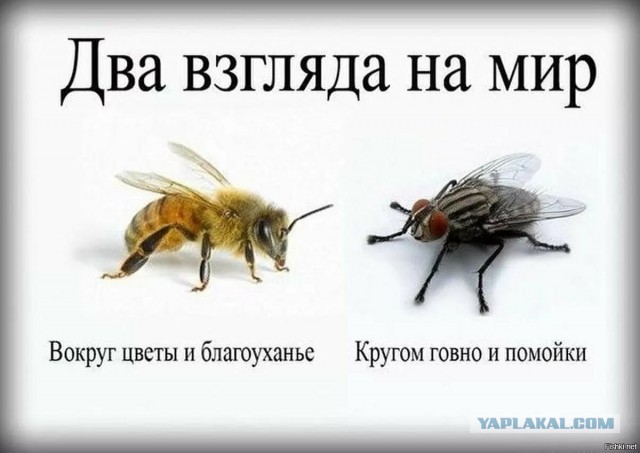 Крым не для бедных: отельеры не согласны сдерживать цены