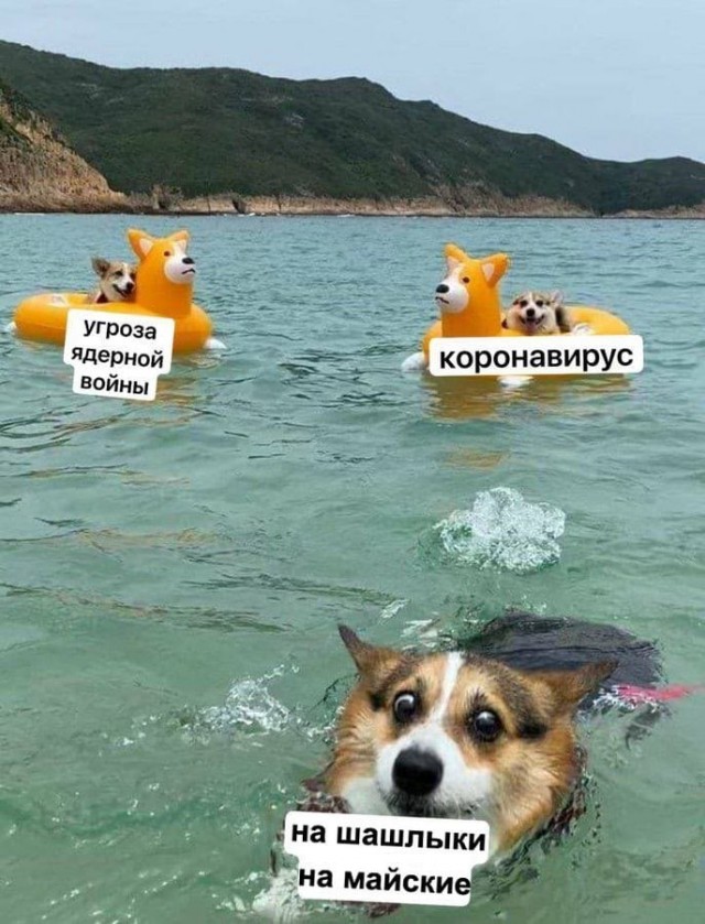 Пандемия. Коронавирус и съехавшие крыши. Россия и мир. Часть 34.