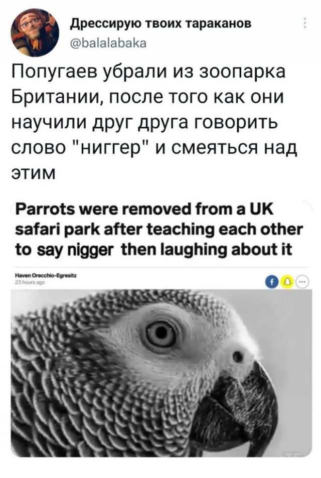 Картинки и мемы для настроения - 27