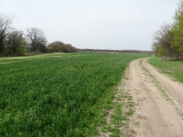 Остров Хортица и Запорожская Сечь