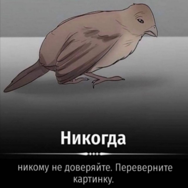 Весёлый полтишок 13.09.22