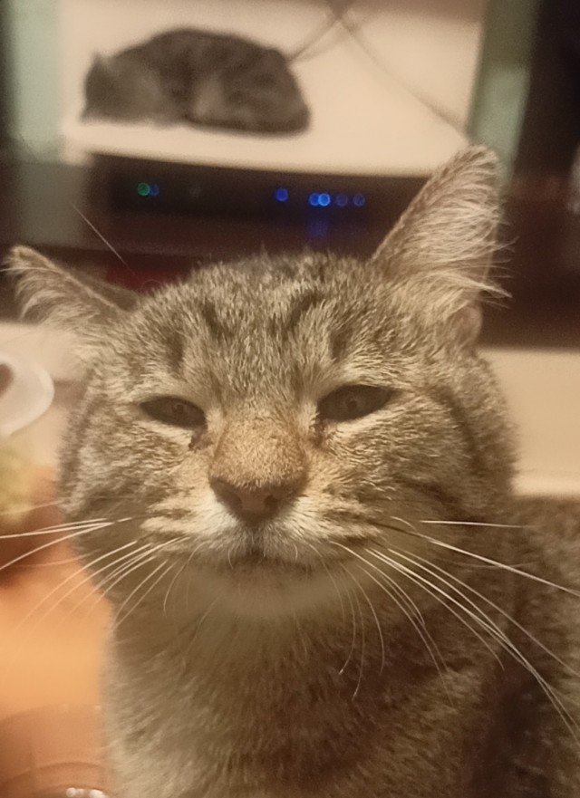 Моя прелесть