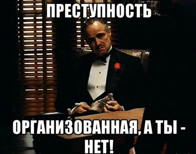 Государство утрачивает контроль над этнической преступностью.