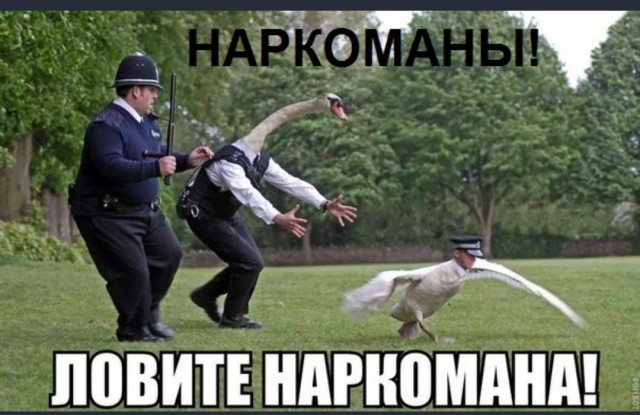 Чёрно-пошлый вторник