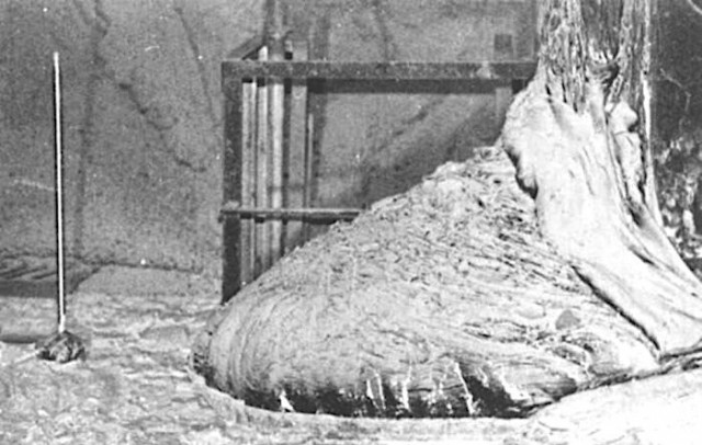 Несколько исторических (и не только) фото в хаотичном порядке и разной степепни баяности - 12
