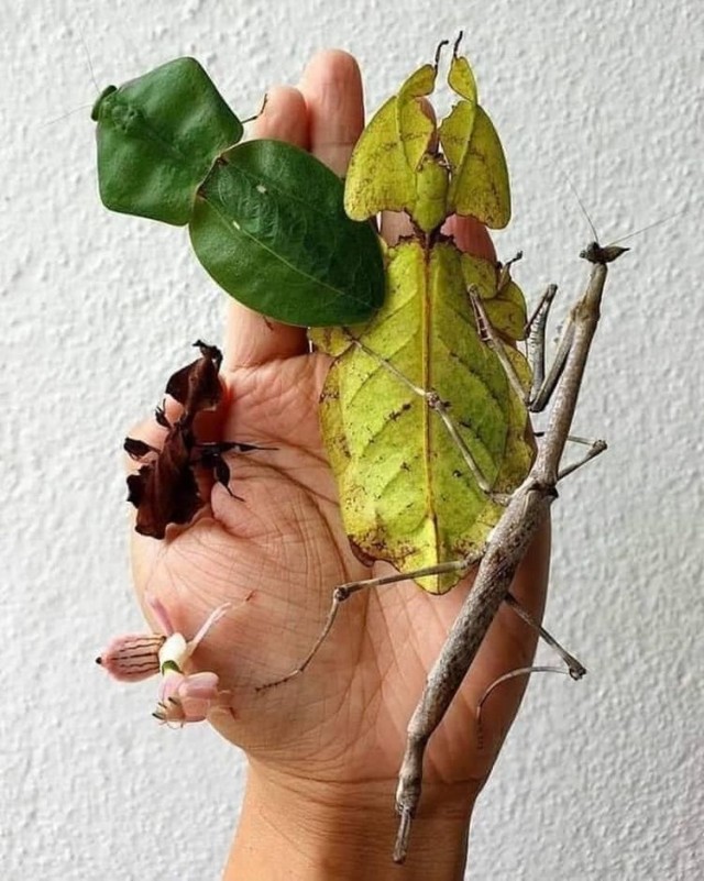 15 познавательных фото, пропустить/проигнорировать которые — значит не узнать что-то новое