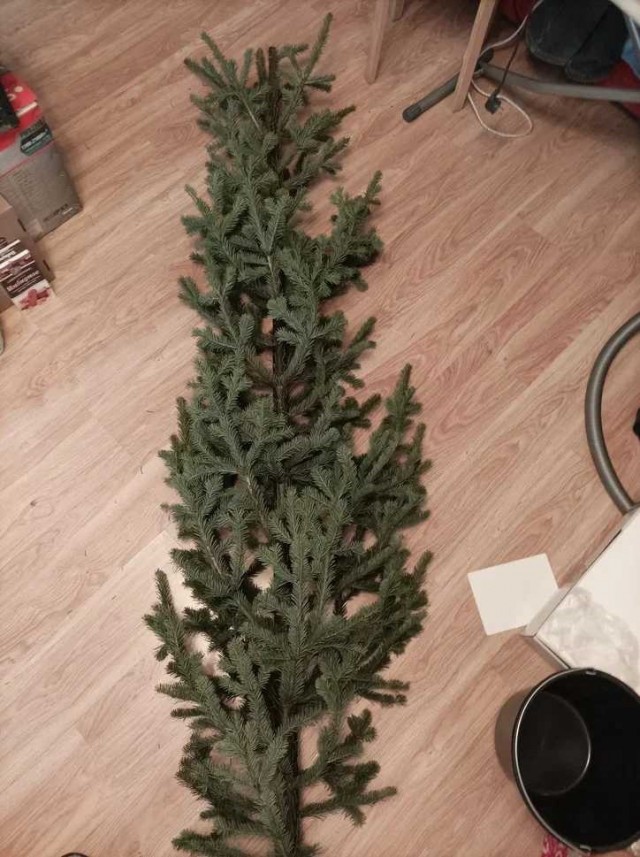 Выкладывайте свои елки!