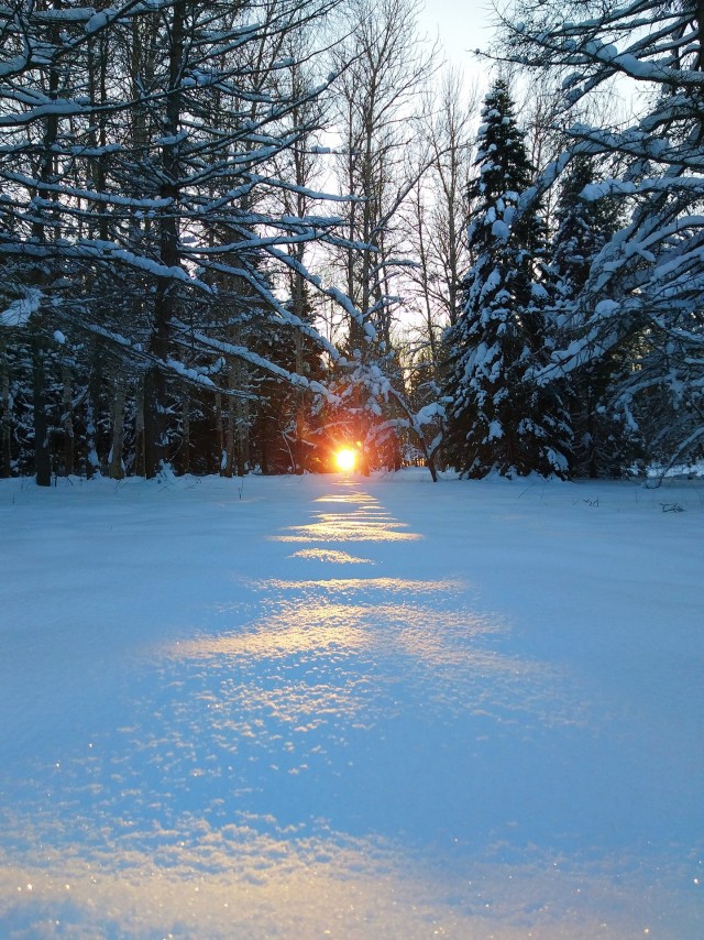 Одно зимнее фото