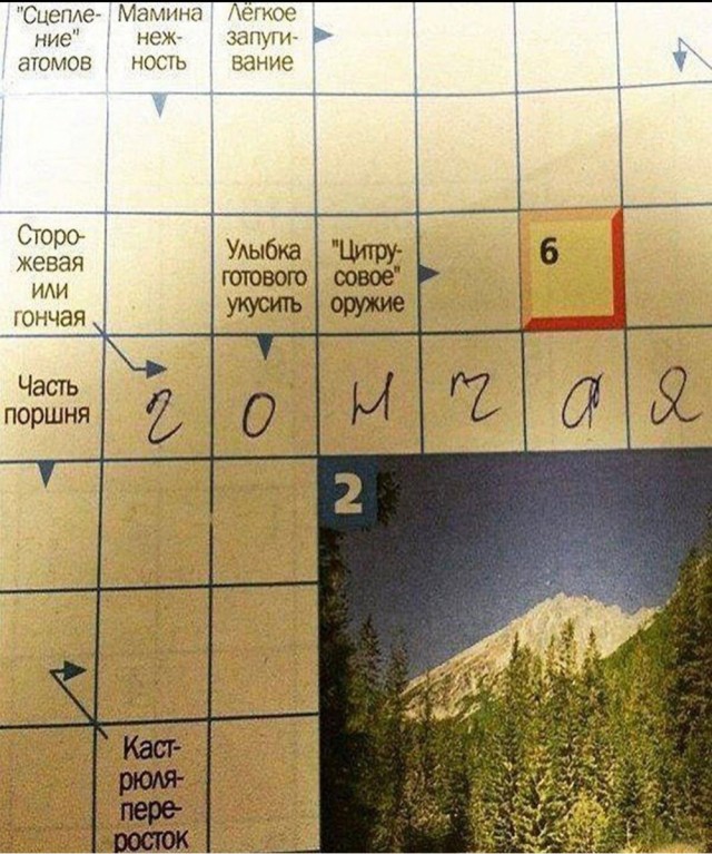 Так себе картинки 18.01.23