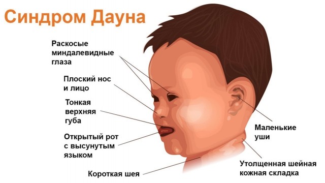 Топовые украинские блогеры