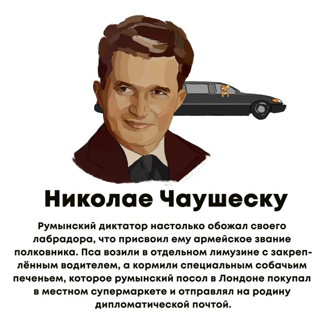Всякие интерености