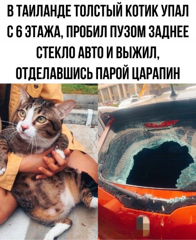 Чернила-6