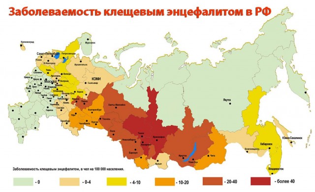 17-летний чемпион по хоккею с мячом умер после укуса клеща
