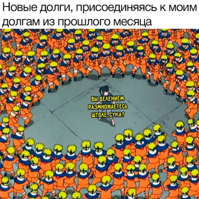Весёлый полтишок 11.08.23
