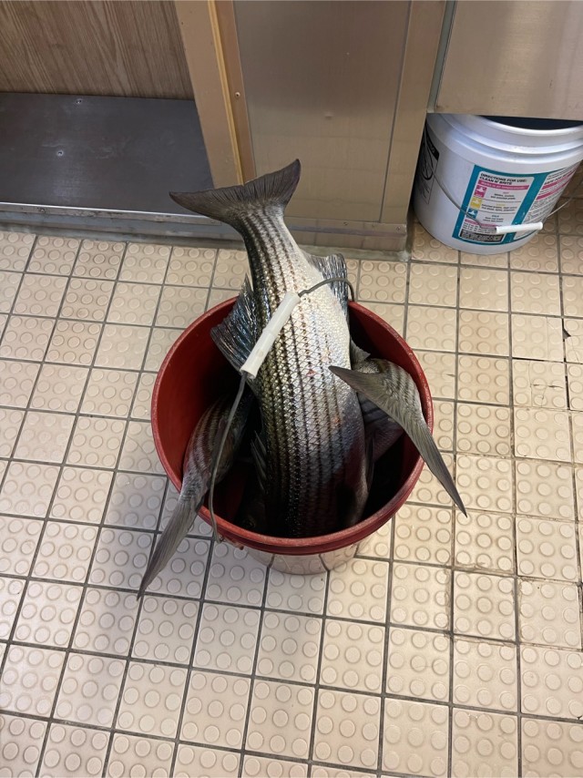 Оружейный магазин в США