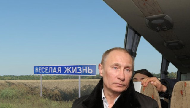 Грустный какойто, на лиса  похож