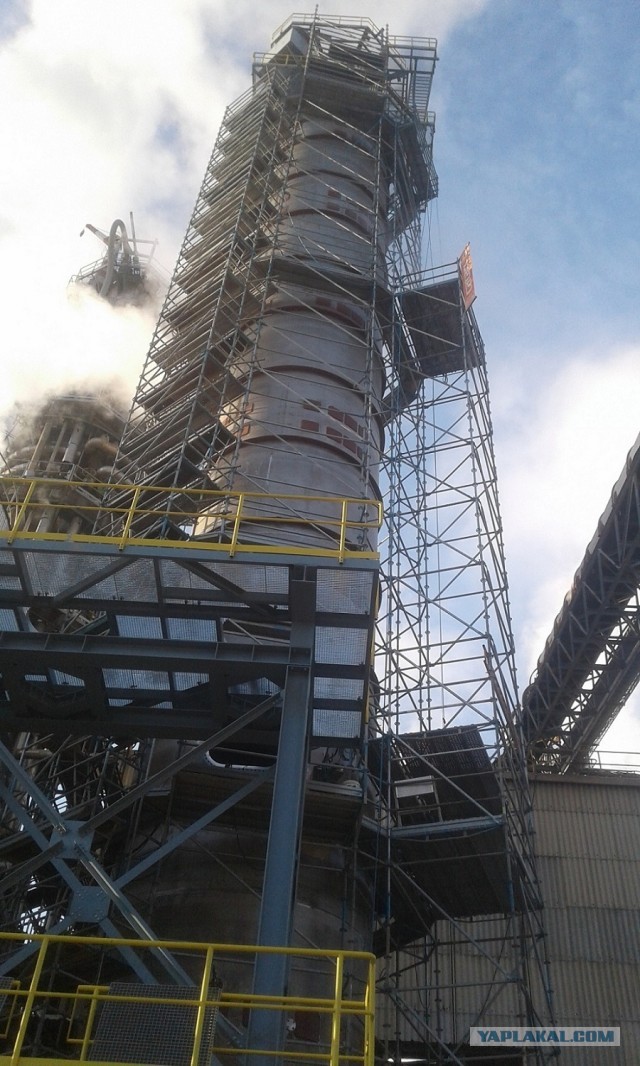 50 килограмм