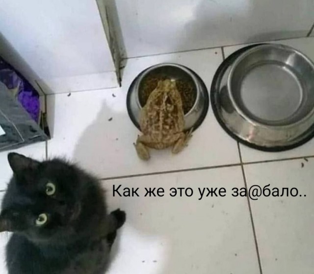 Старался без боянов