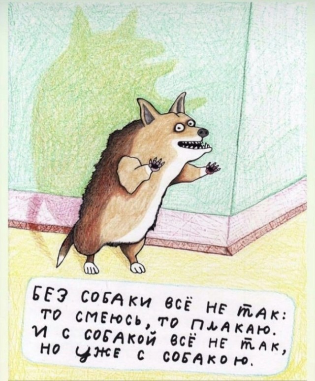 Не очень адекватный юмор