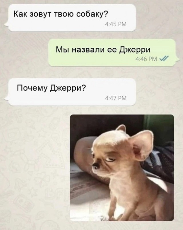 Никакие картинки