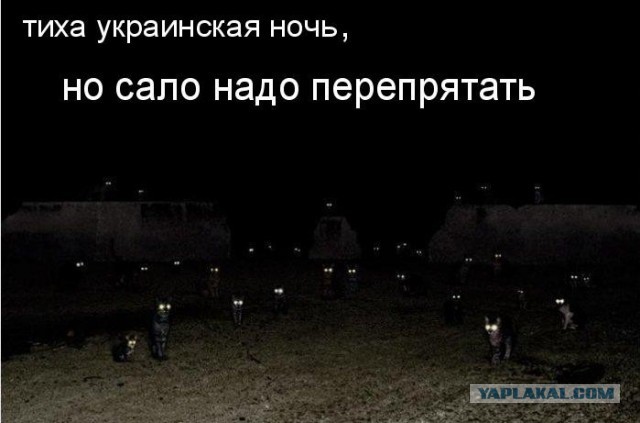 А потому что надо всегда думать, что пишешь и говоришь