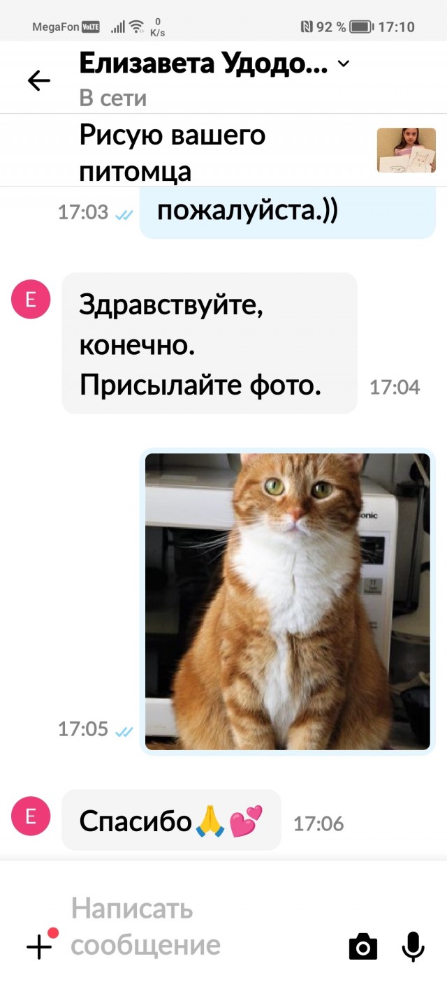 9-летняя девочка из Москвы рисует домашних питомцев на заказ, чтобы купить себе телефон