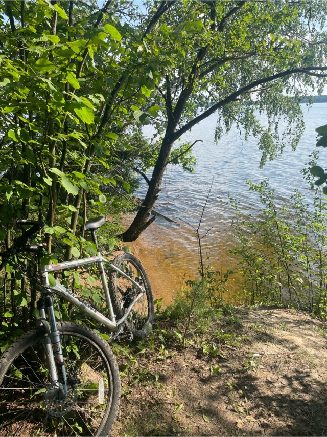 Велик