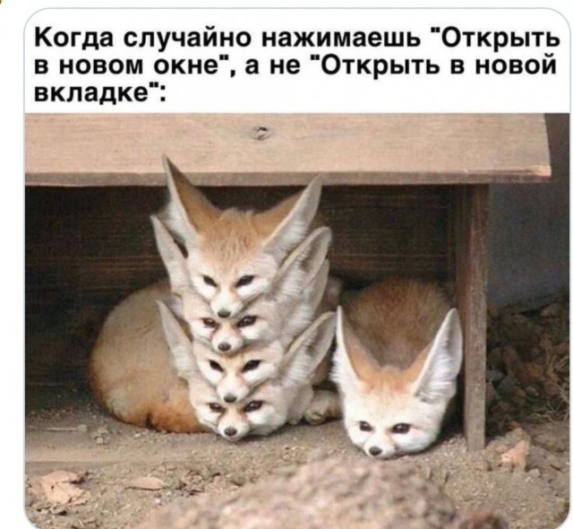 Завалялось тут случайно немного забавных картинок