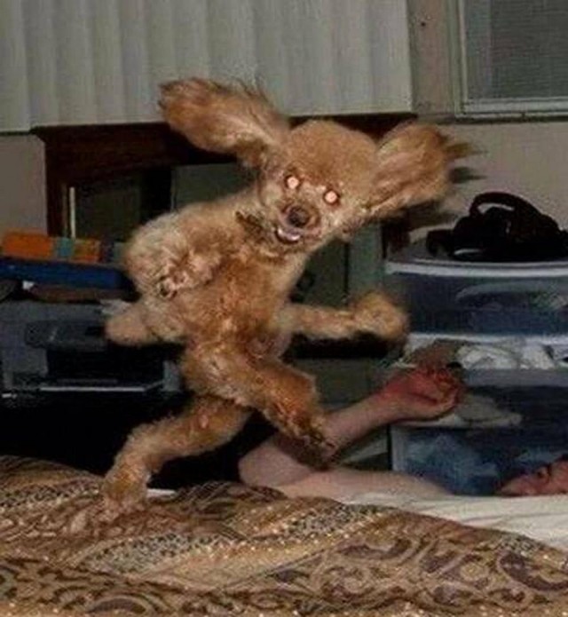 Прикольные и просто красивые картинки 08.11.2024