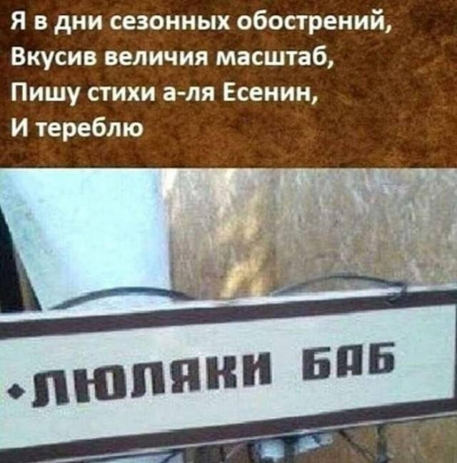 Веселые картинки в понедельник (11.11)