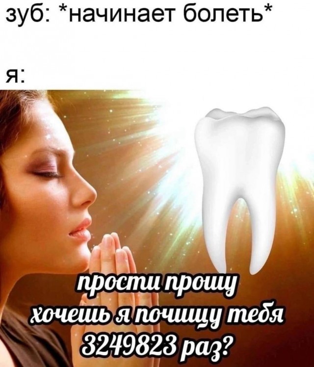Весёлый полтишок 06.12.24