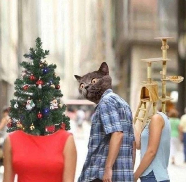 Так себе картинки 21.12.24