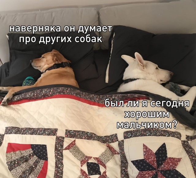 Одной картинки пост