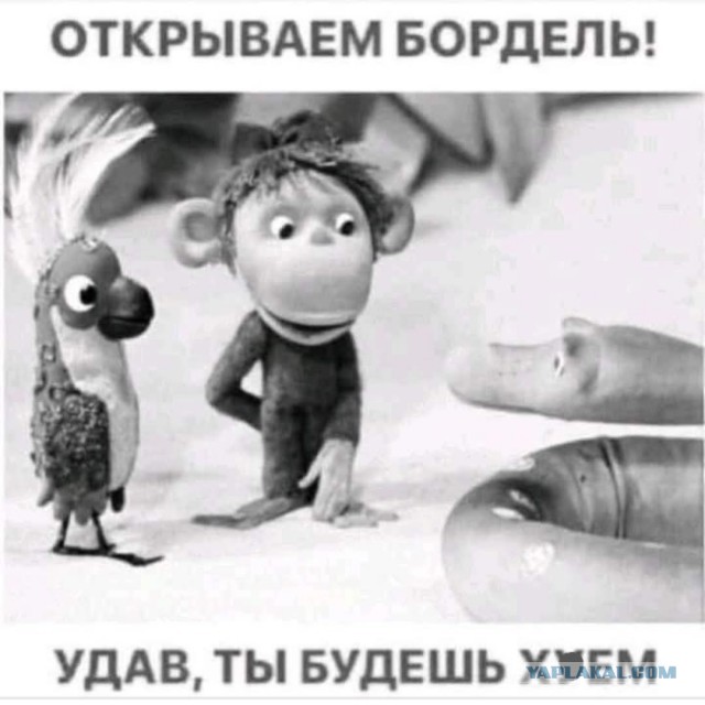 Веселые картинки в маленькую пятницу (11.06)