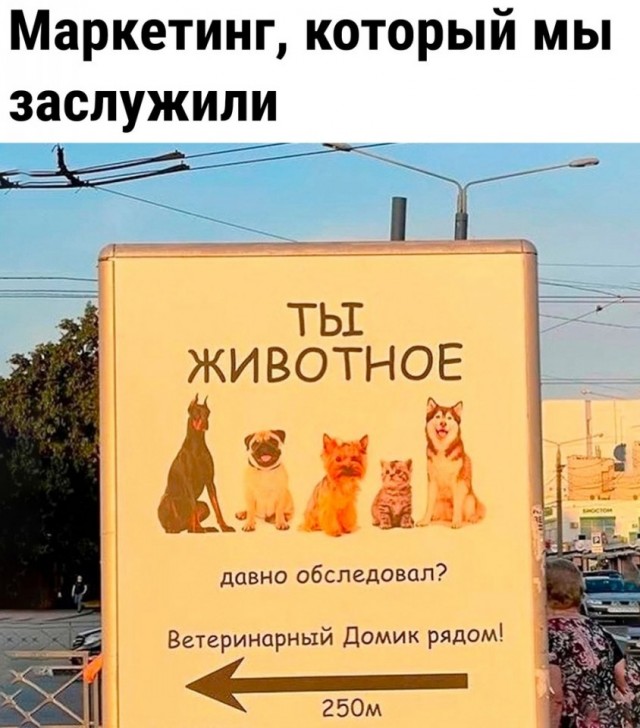 Так себе картинки 20.08.25