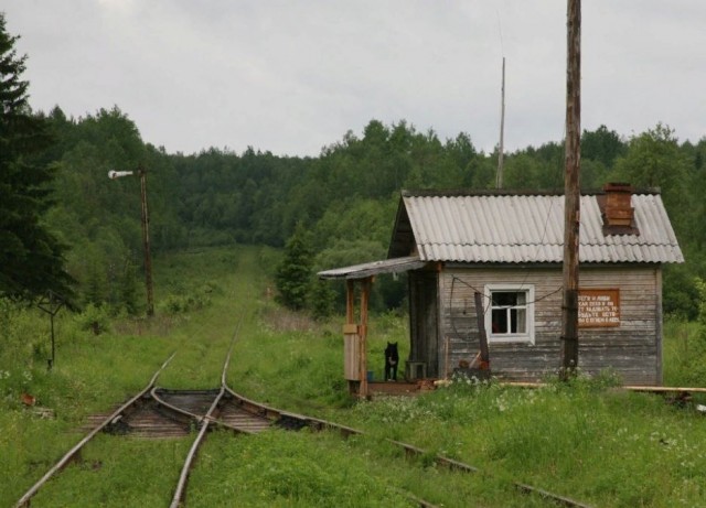 В РЖД начали массово увольнять сотрудников
